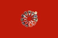 滁州市来安回收红酒